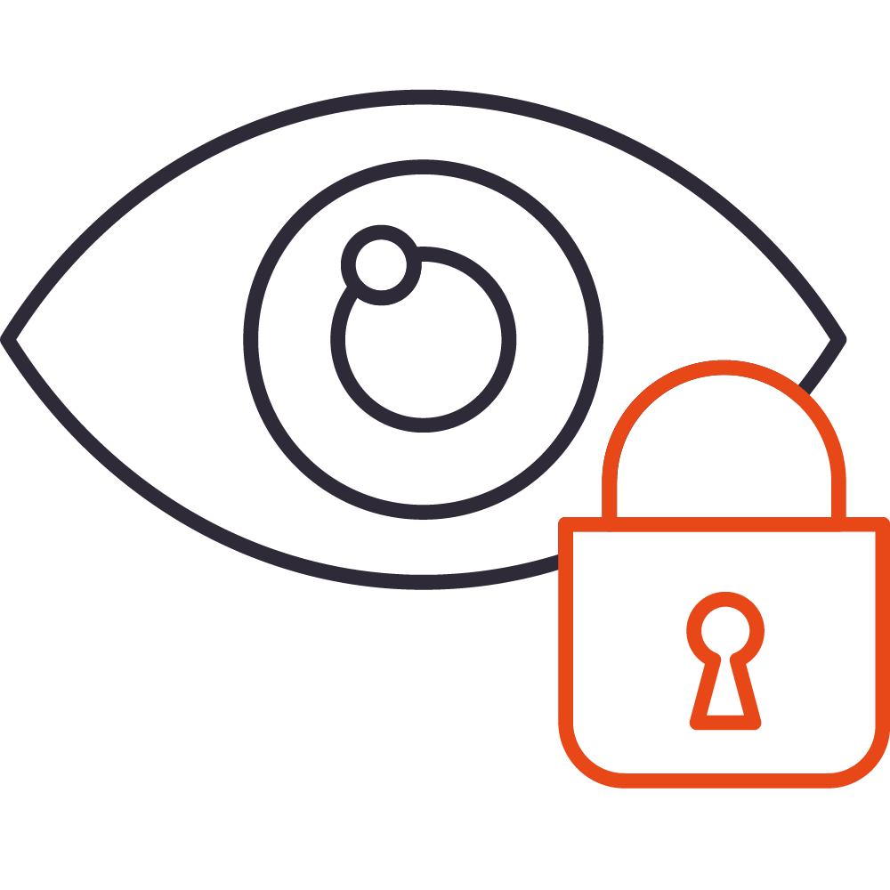  <span class="lte-header lte-h4"> IP address protection </span> 